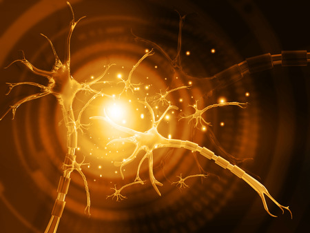 3d illustration of human neuronの写真素材