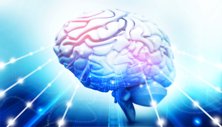 Active human brain. 3d illustrationの写真素材