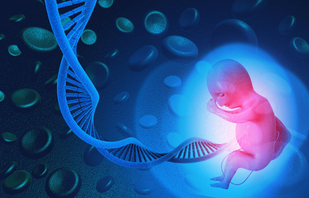 Dna with fetus. 3d illustration	の写真素材