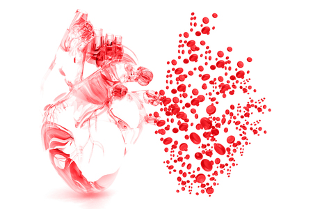 Human heart with blood cells. 3d illustrationの写真素材