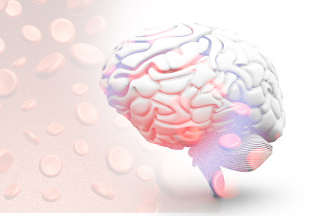 Human brain with blood cells. 3d renderの写真素材