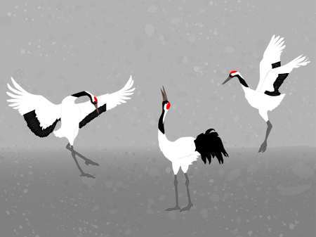 Red-crowned cranes on gray background, vector illustrationのイラスト素材