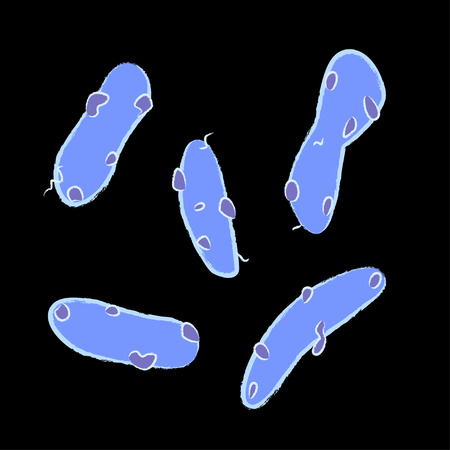 Group of Gemmatimonadetes bacterias on black background, vector illustrationのイラスト素材