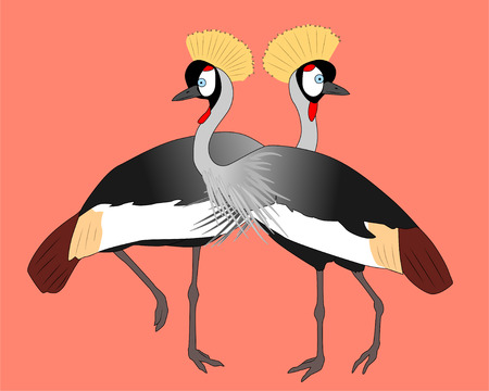 Two dstanding gray crowned cranes, vector illustrationのイラスト素材