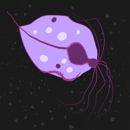 Vector illustration of single-celled eukaryote Parabasalia, Protozoaのイラスト素材