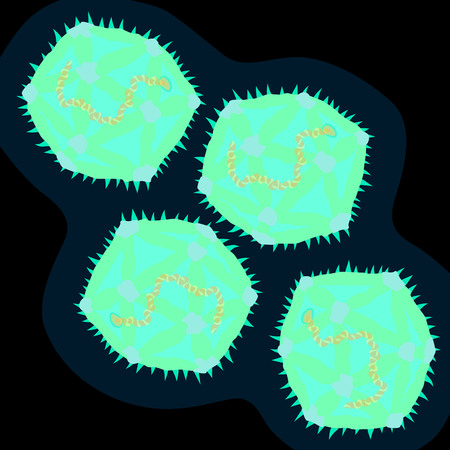 Coxsackievirus on dark background, vector illustrationのイラスト素材