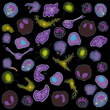 Set of innate immune system cells, vector illustrationのイラスト素材