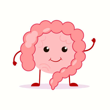 Strong healthy happy Intestine gut character. Vector flat cartoon illustration icon designのイラスト素材