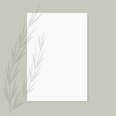Shadow Overlay Plant Vector Mockup A4 Paper sheets. Shadows overlay effects Of A branch on grey background in a modern minimalist styleのイラスト素材