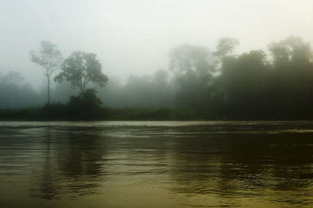 Misty riverの写真素材
