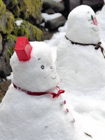 snowballsの写真素材