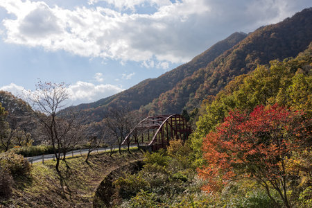 Autumn leaves