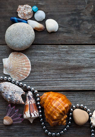 seashells and pebbles on the wooden rustic tableの写真素材