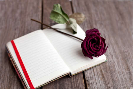 dried rose and open book othe wooden tableの写真素材