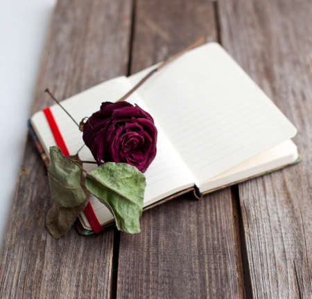 dried rose and open book on the wooden tableの写真素材