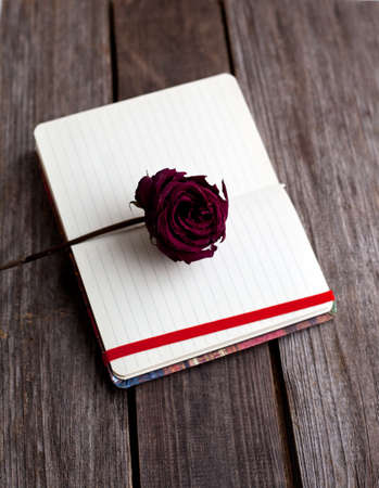 Dried red rose laying over an open bookの写真素材