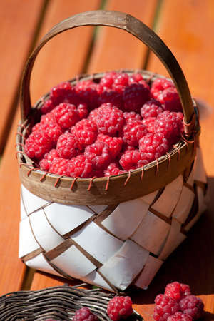 fresh raspberry in a basket on wooden table sunlightの写真素材