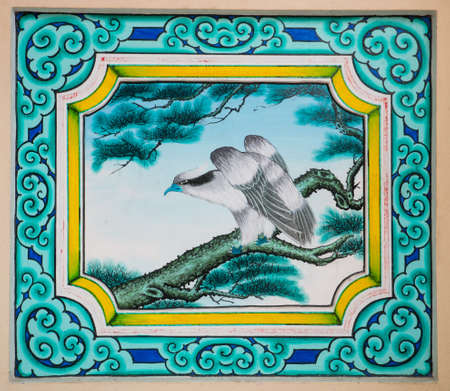 beautiful bird drawing on the wallの写真素材