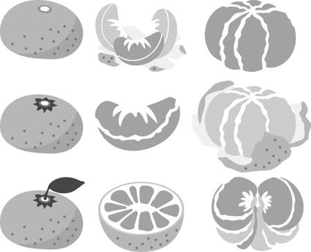 This is an illustration of Mandarin orange.のイラスト素材