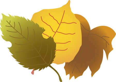 This is an illustration of a bunch of fallen leaves.のイラスト素材