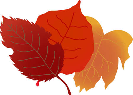 This is an illustration of a bunch of fallen leaves.のイラスト素材