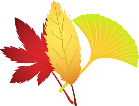 This is an illustration of a bunch of fallen leaves.のイラスト素材