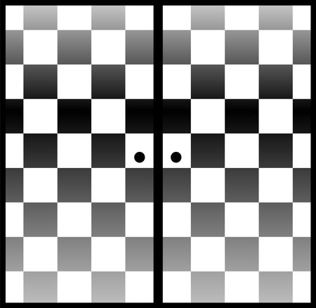 This is a illustration of Monochrome Brilliant Japanese-style bran