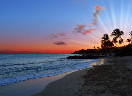 Peaceful Bright Sunset on Exotic Caribbean Beachのeditorial素材