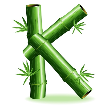 Bamboo Logo Letter Sign Kのイラスト素材