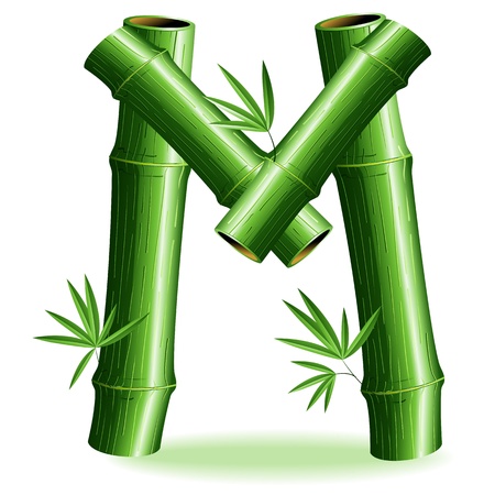 Bamboo Logo Letter Sign Mのイラスト素材
