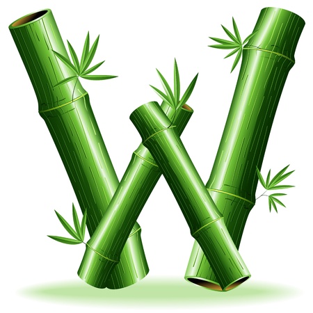 Bamboo Logo Letter Sign Wのイラスト素材