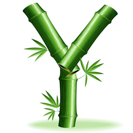 Bamboo Logo Letter Sign Yのイラスト素材