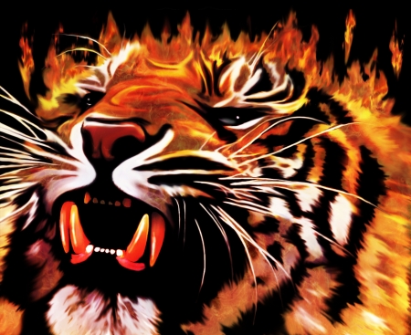 Fire Power Tigerの写真素材