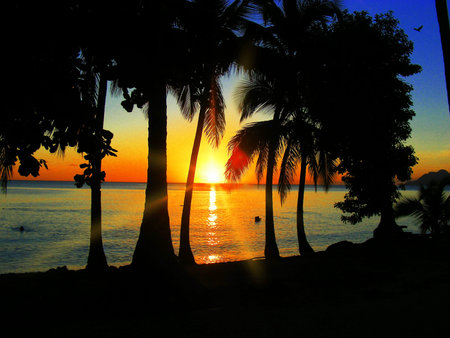       Stunning Sunset on Exotic Beach in Martinique-French Indies-Caribbean    