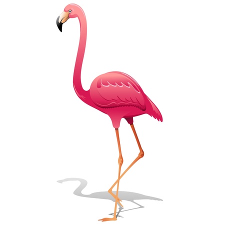 Pink Flamingoのイラスト素材