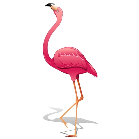Pink Flamingoのイラスト素材