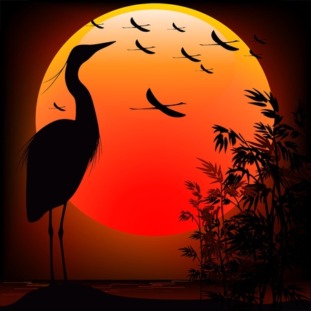 Heron Shape on Stunning Sunsetのイラスト素材