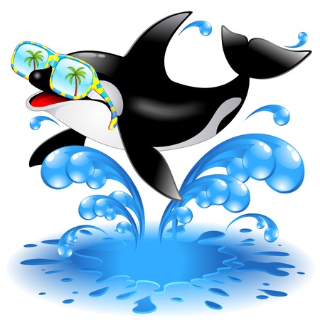 Jumping Killer Whale Cartoon with Sunglassesのイラスト素材