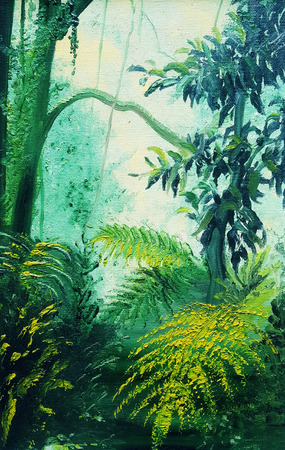 Rainforest Lights and Shadows paintingの写真素材