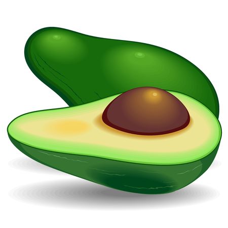 Avocado Exotic Healthy Fruitのイラスト素材