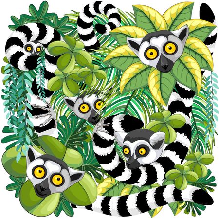 Lemurs of Madagascar on Rainforestのイラスト素材