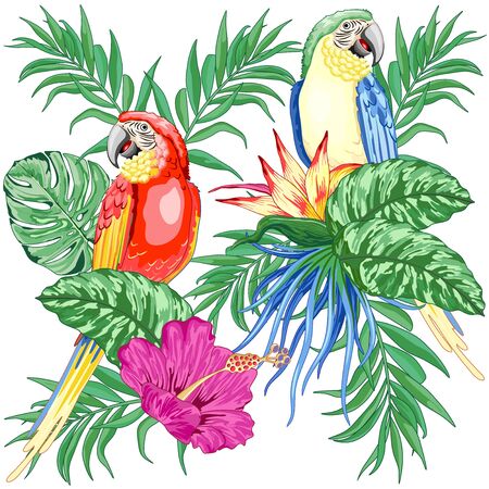 Macaws Parrots Exotic Birds on Tropical Flowers and Leaves Vector Illustrationのイラスト素材