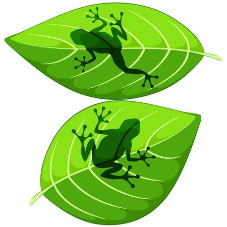 Frog shapes on Green Leaves Vector illustrations isolated on whiteのイラスト素材