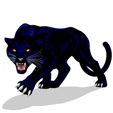 Black Panther Roaring Spirit Vector illustration isolated on white.のイラスト素材