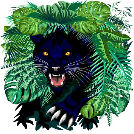 Black Panther Jungle Spirit coming out of the Jungle Vector illustrationのイラスト素材