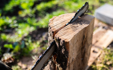 Closeup of a chainsaw cutting a wooden logの写真素材