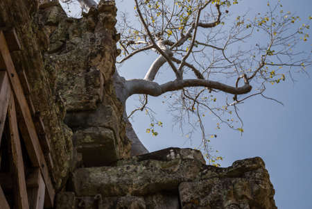 Angkor Thom, Siemreap, Cambodia.の写真素材