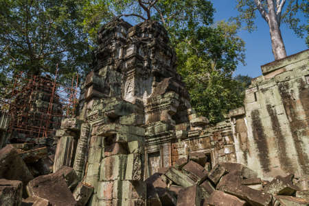 Angkor Thom, Siemreap, Cambodia.の写真素材