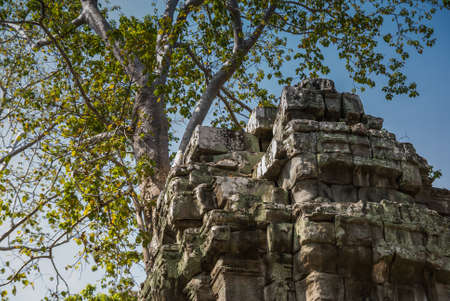 Angkor Thom, Siemreap, Cambodia.の写真素材