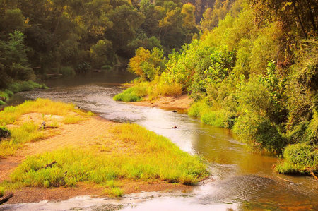 Picture of the Comite River winding through East Feliciana Parrish in Louisiana.